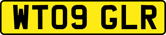 WT09GLR
