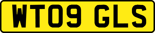 WT09GLS