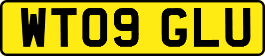 WT09GLU