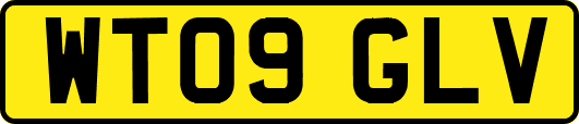 WT09GLV