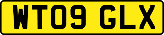 WT09GLX