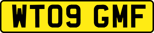 WT09GMF