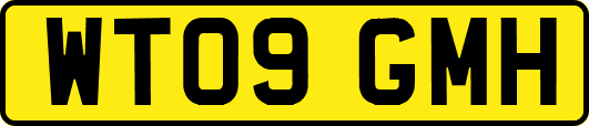 WT09GMH