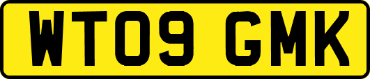 WT09GMK