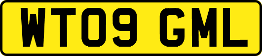 WT09GML