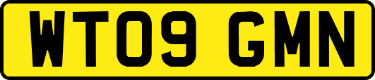 WT09GMN