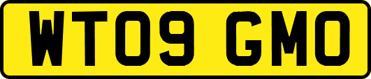 WT09GMO