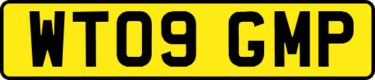 WT09GMP