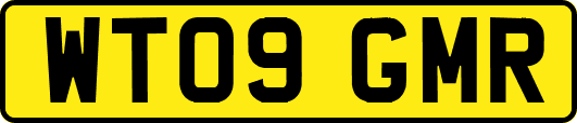 WT09GMR