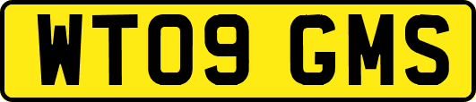 WT09GMS