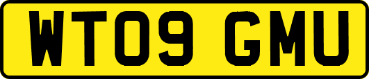 WT09GMU
