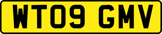 WT09GMV