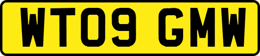 WT09GMW
