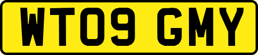 WT09GMY