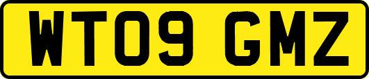 WT09GMZ