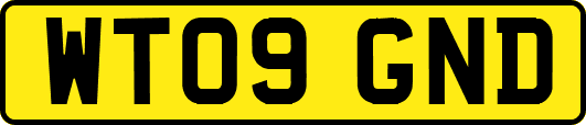 WT09GND