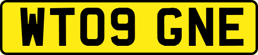 WT09GNE