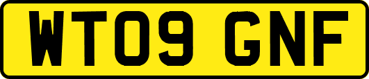 WT09GNF