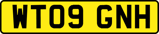 WT09GNH