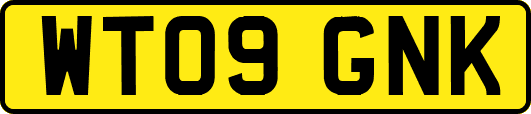WT09GNK