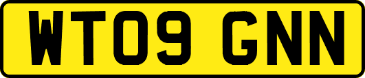 WT09GNN