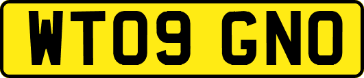 WT09GNO