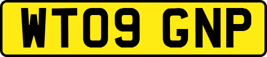 WT09GNP