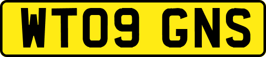 WT09GNS