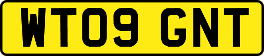 WT09GNT