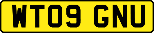 WT09GNU