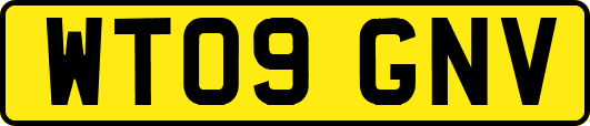 WT09GNV