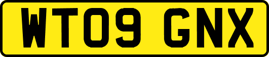 WT09GNX