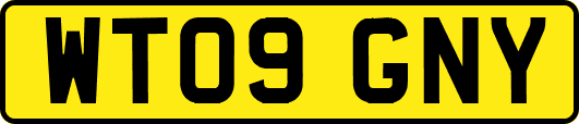 WT09GNY