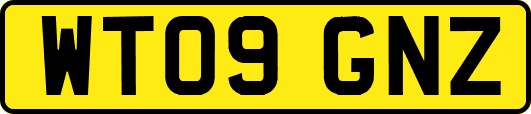 WT09GNZ