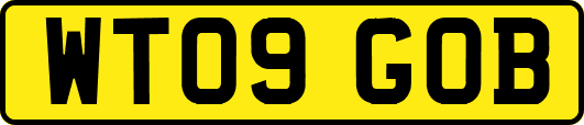 WT09GOB