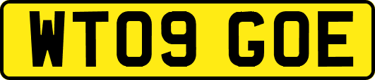 WT09GOE