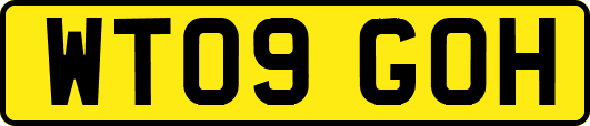WT09GOH