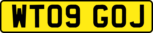 WT09GOJ