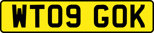 WT09GOK