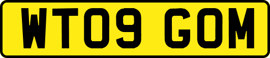 WT09GOM