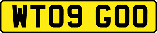 WT09GOO