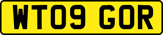 WT09GOR