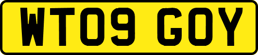 WT09GOY