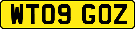 WT09GOZ