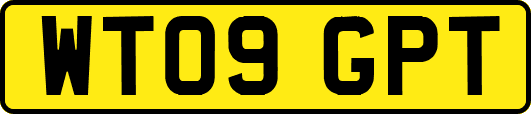 WT09GPT
