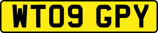WT09GPY