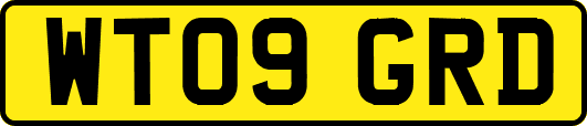 WT09GRD