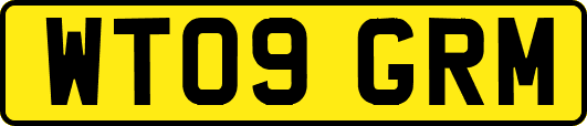 WT09GRM
