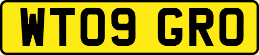 WT09GRO