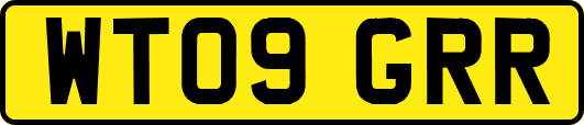 WT09GRR